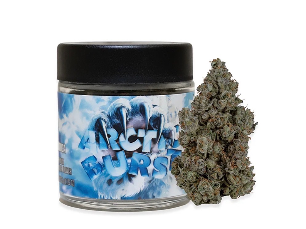 SEED JUNKY: Arctic Burst By Seed Junky