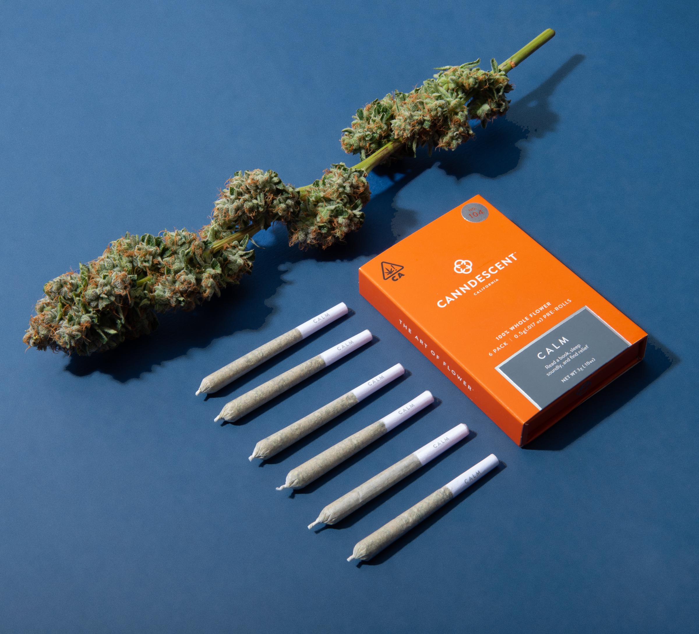Canndescent — Calm Mini By Canndescent