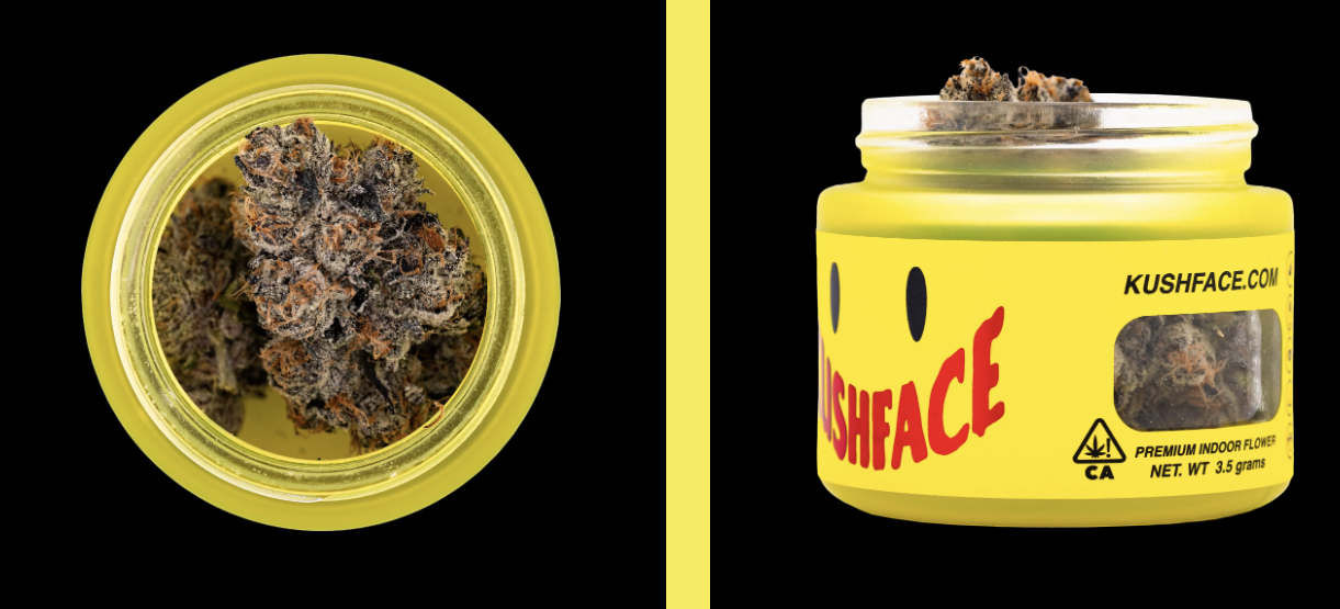 Tropics: The Tropics By Kushface