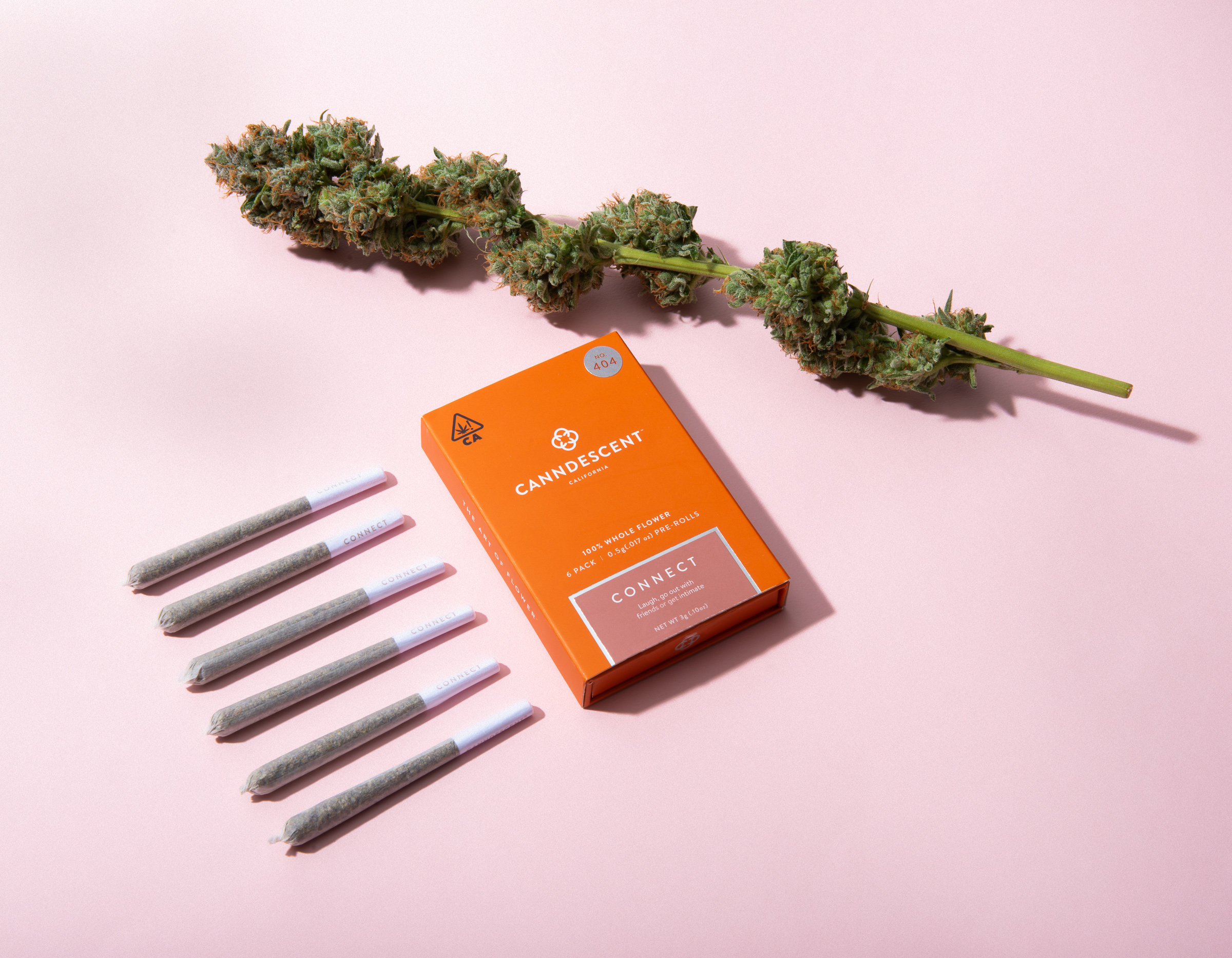 Canndescent — Connect Mini By Canndescent