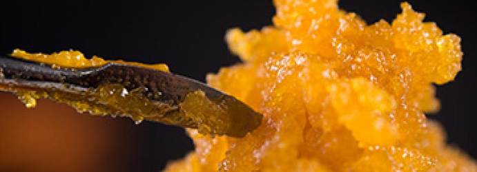 ANIMAL MINTS | LIVE RESIN 1G