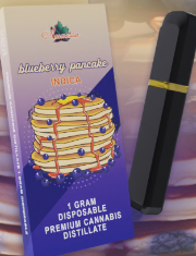 BLUEBERRY PANCAKE | DISPOSABLE 1G (SPECIAL)