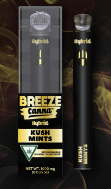 KUSH MINTS | LIVE RESIN DISPOSABLE 1G