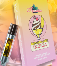 BANANA SPLIT | CARTRIDGE 1G