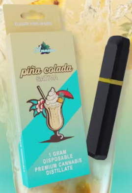 PINA COLADA | DISPOSABLE 1G (SPECIAL)