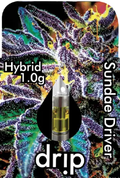 SUNDAE DRIVER | CARTRIDGE 1G