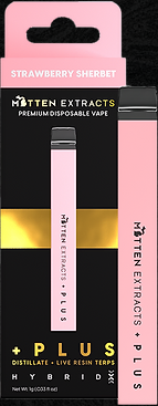 STRAWBERRY SHERBET | DISPOSABLE VAPE 1G