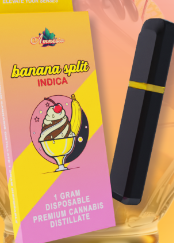 BANANA SPLIT | DISPOSABLE 1G (SPECIAL)