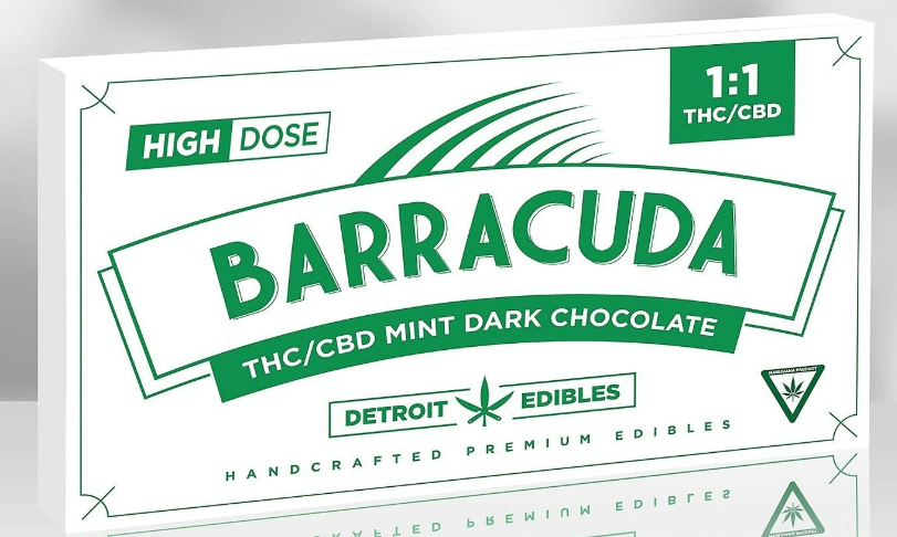 DARK MINT CHOCOLATE 1:1 | CHOCOLATE BAR 200MG