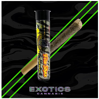 TIGER BREATH | INFUSED PREROLL 1G