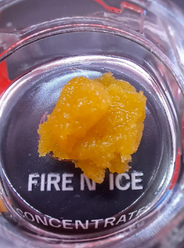ANIMAL MINTZ X ICE CREAM CAKE X KUSH MINTZ | LIVE RESIN 1G