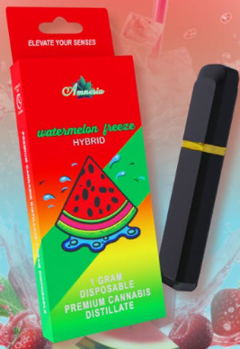 WATERMELON FREEZE | DISPOSABLE 1G (SPECIAL)