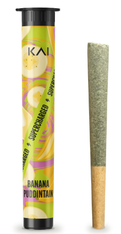 BANANA PUDDINTAINE | PREROLL 1G