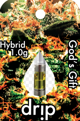 GOD'S GIFT | CARTRIDGE 1G