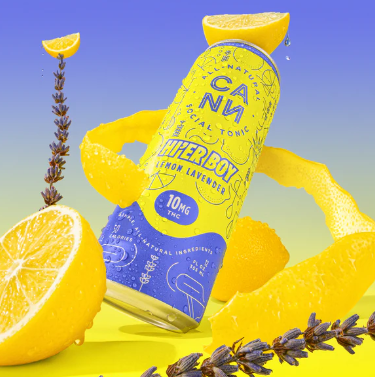 HI'ER BOY LEMON LAVENDER - 10 mg - 4 Pack