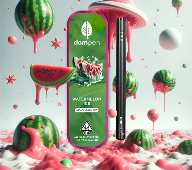 WATERMELON ICE 1G ALL IN ONE VAPE