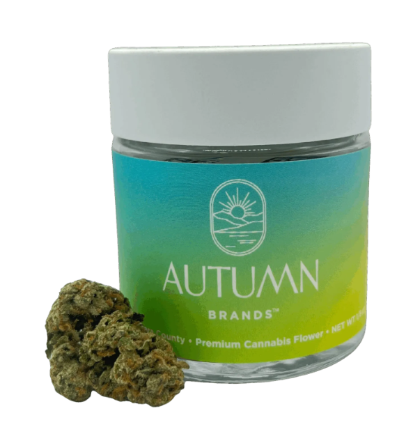 Blueberry Pancakes - 3.5 g