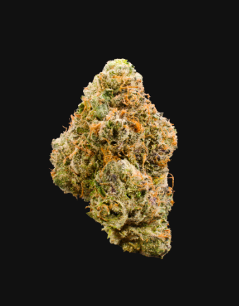 Lemon Cherry Gelato - 3.5 g