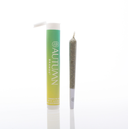 Blueberry Pancakes 1g