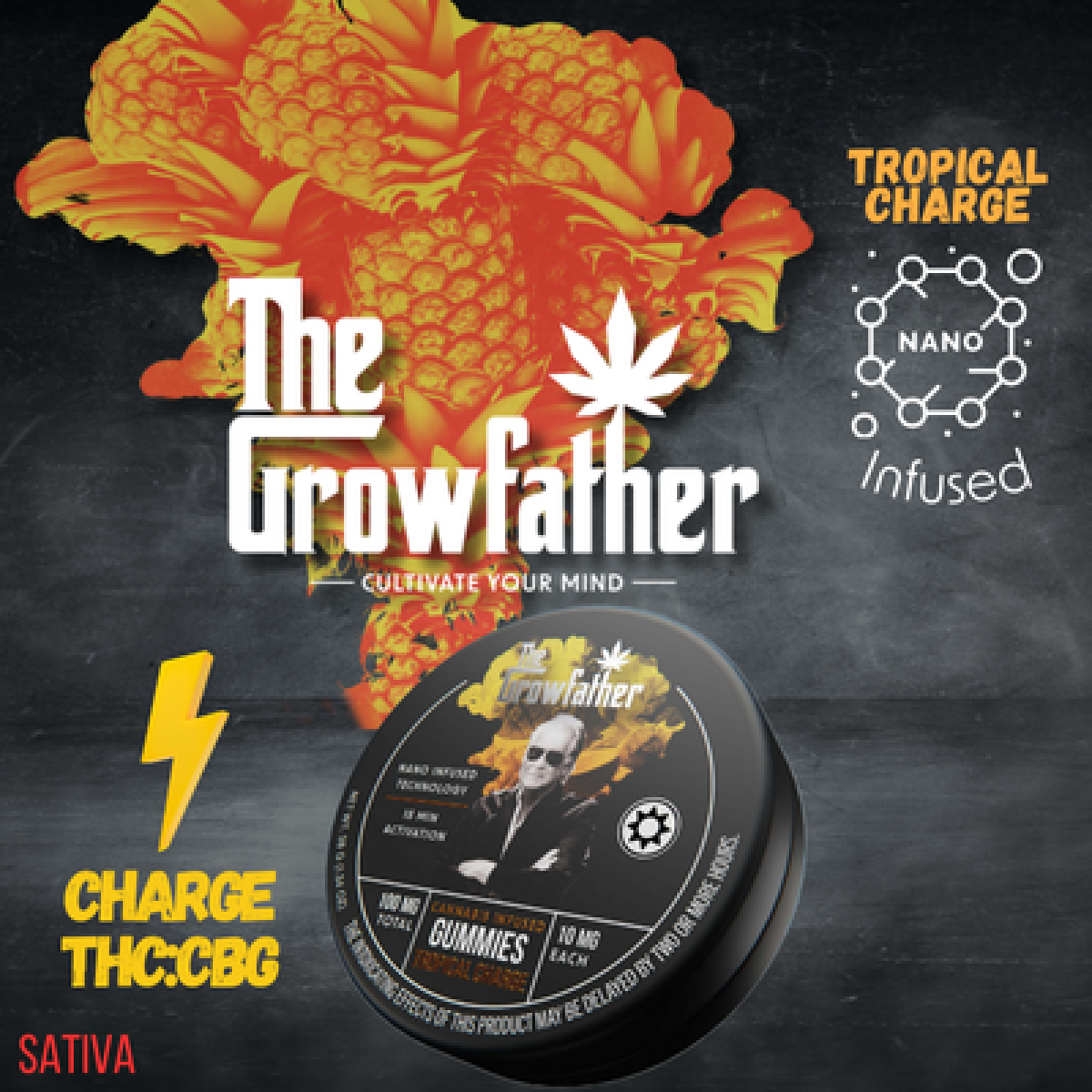 TROPICAL CHARGE - NANO-INFUSED - 10 PACK - 100 mg