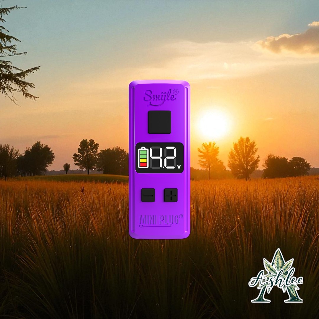 MINI PLUG - PURPLE - One Size