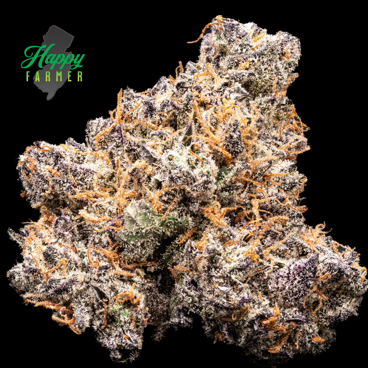 CANDIED GARLIC - FLOWER - 3.5 g