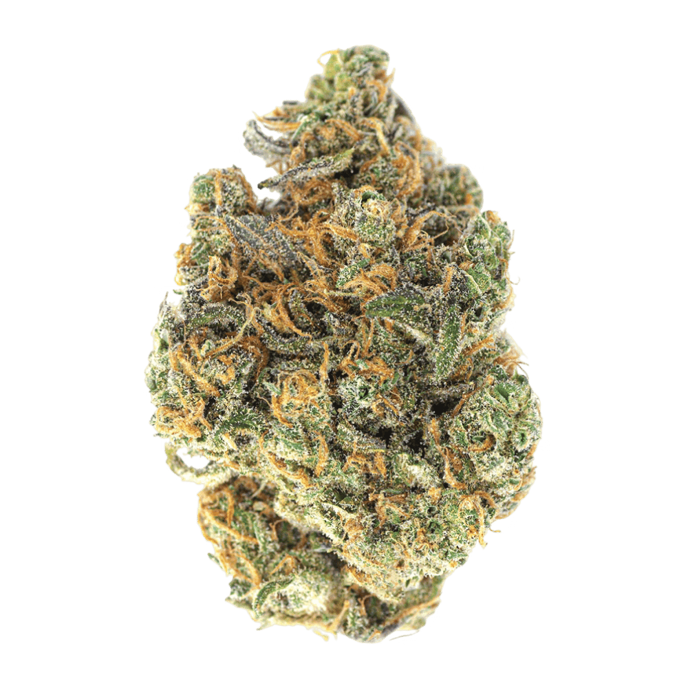 Drooler | Flower 