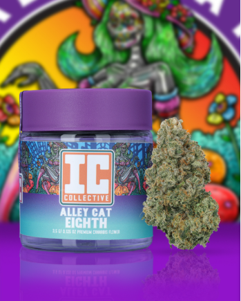 Alley Cat | Flower