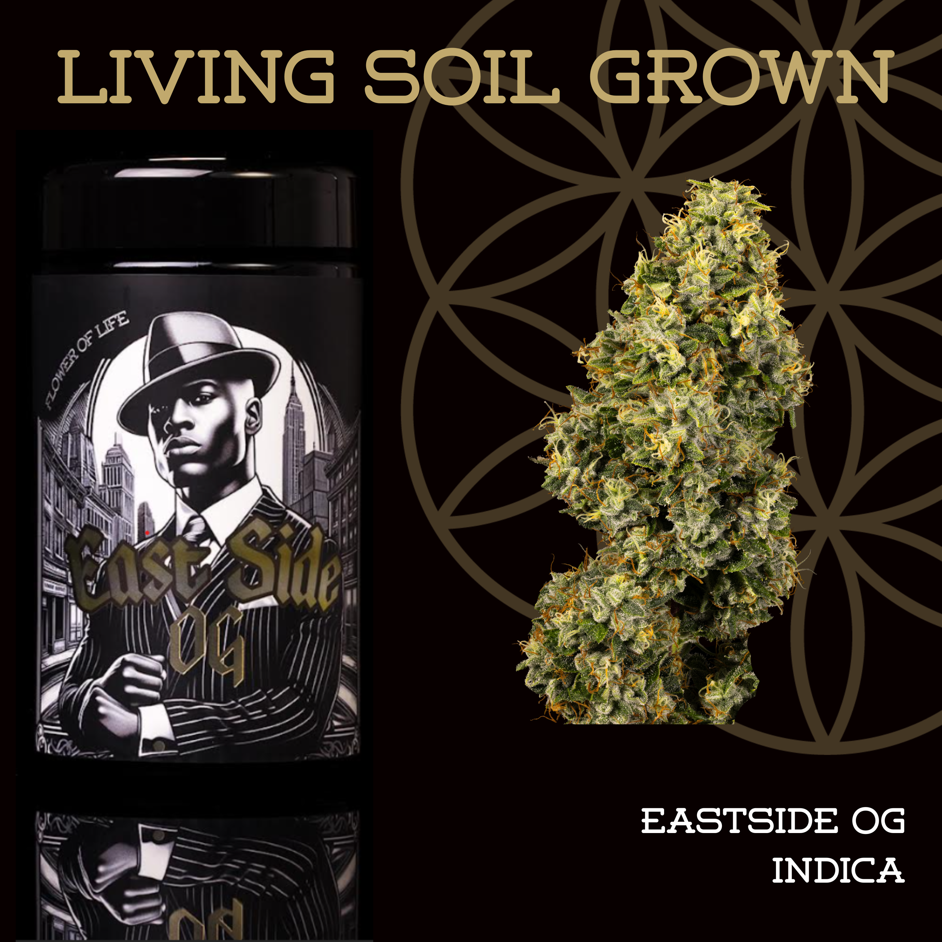 光田康典 hopeful weeds 公式FC限定CD vol.002～004 FLOWER OF LIFE – Eastside OG | Organic Flower - 7g for Sale in