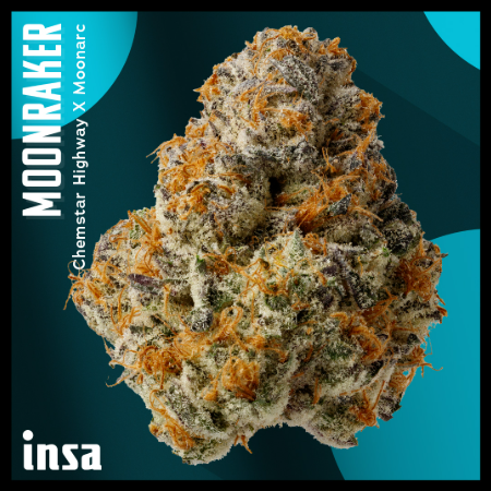 INSA | MOONRAKER | 28G - 28g in Egremont
