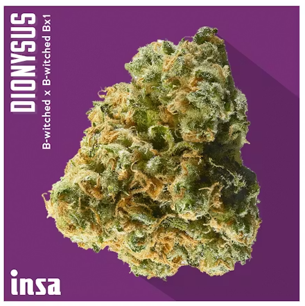 Dionysus | 28g