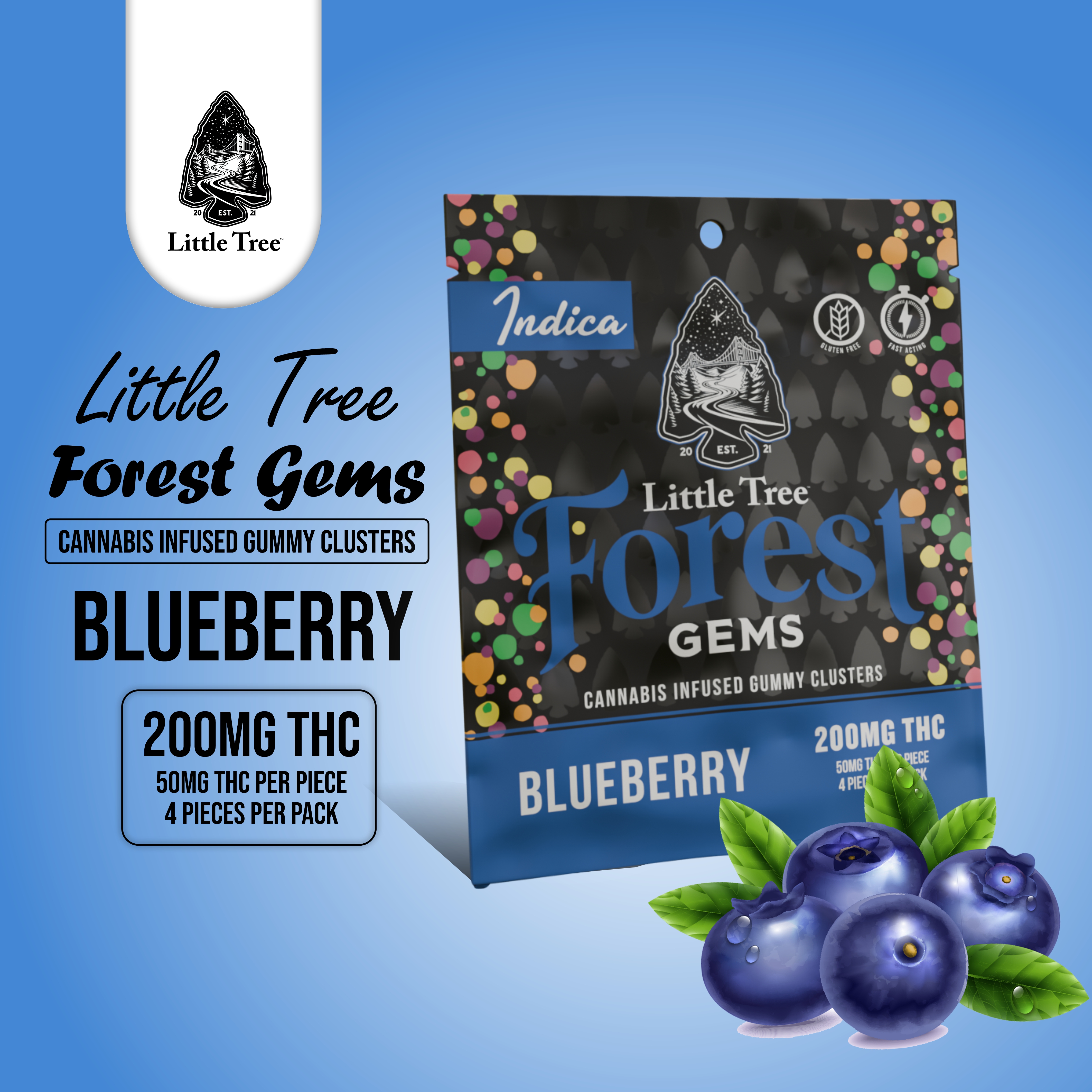 BLUEBERRY FOREST GEMS | 200MG 4X50