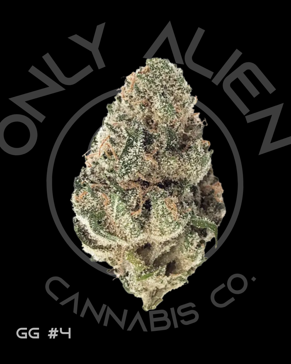 GORILLA GLUE | 3.5G | SMALL BATCH FLOWER