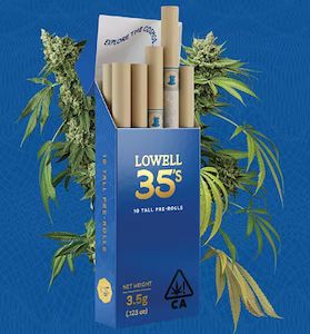 STARGAZER - 10-PACK - LOWELL 35'S