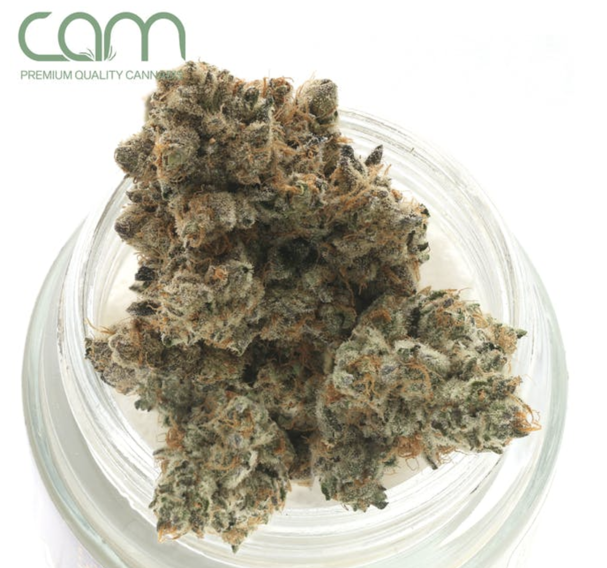Jack Herer - 3.5g