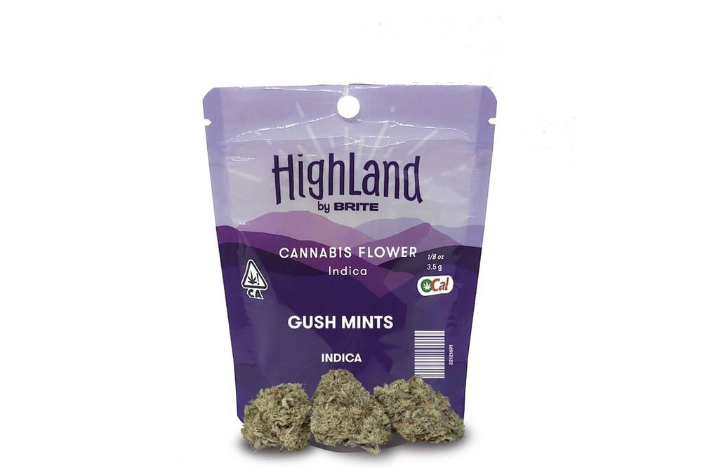 GUSH MINTZ