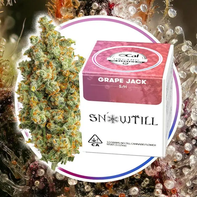 Snowtill — GRAPE JACK -