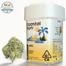 Coastal Sun — E85 -