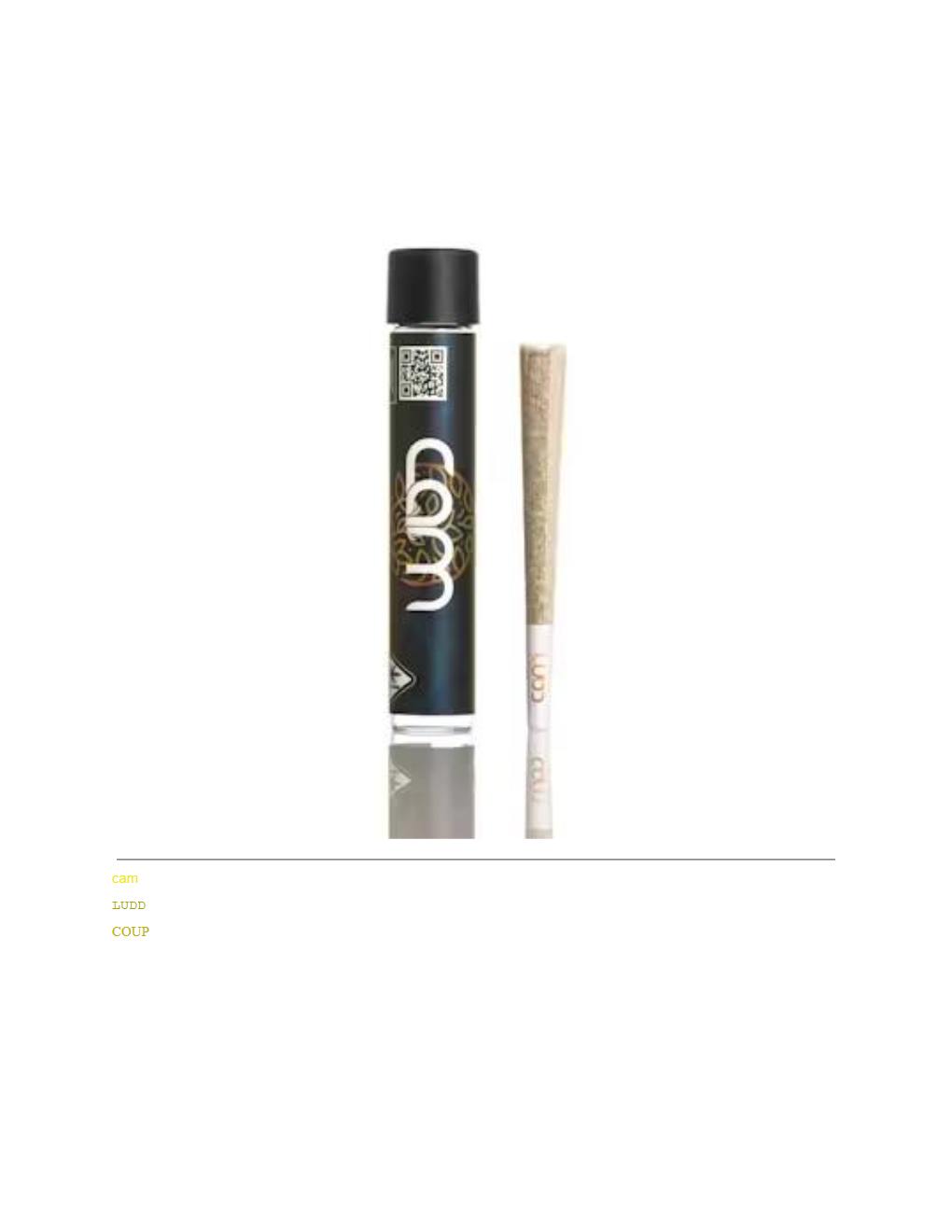 CAM — SFV OG -