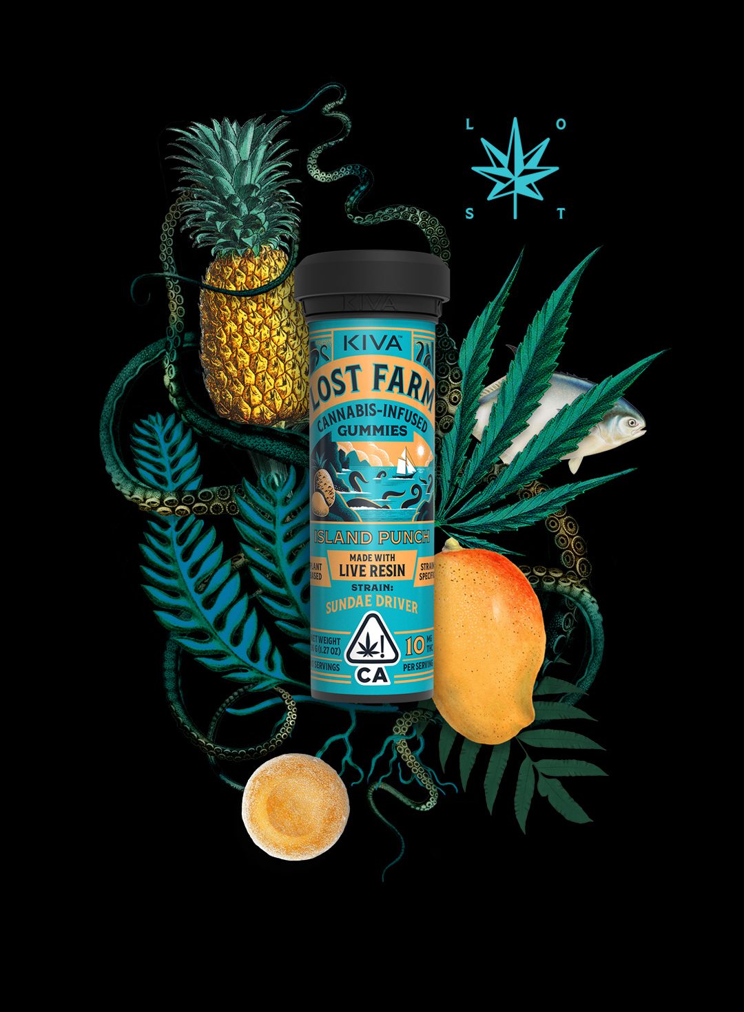 LOST FARM - Island Punch | 10mg Gummies | 100mg Total | Torrey Holistics