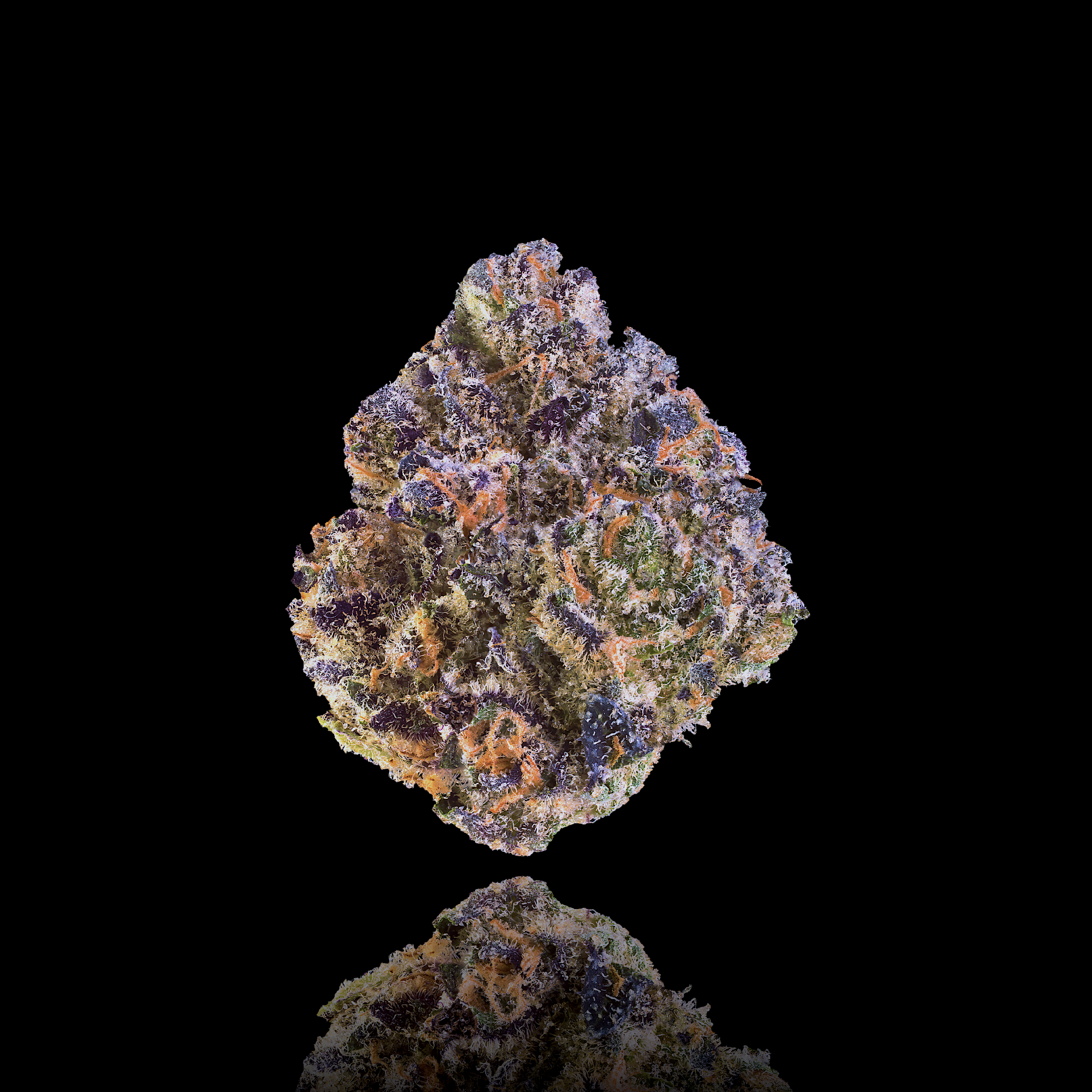 Maven Genetics: Unami Butter