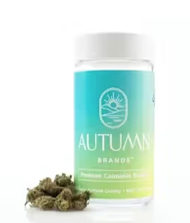 Autumn Brands: Blueberry Pancakes