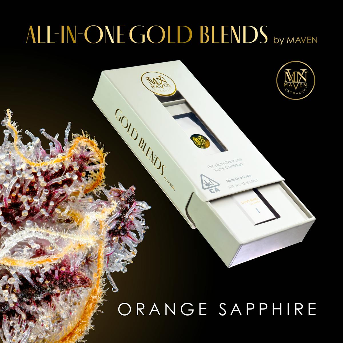 Maven Genetics: Orange Sapphire