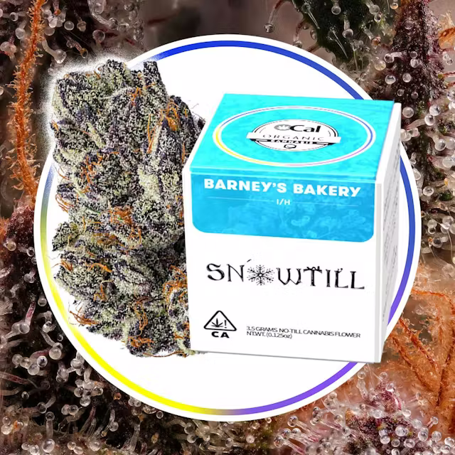 Snowtill — Barney S Bakery