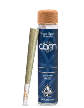 CAM: CAM POP - 1 G