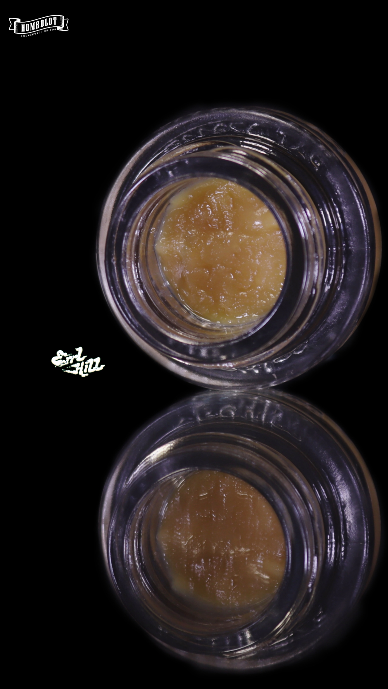 GAZOLINA LIVE ROSIN | 1G