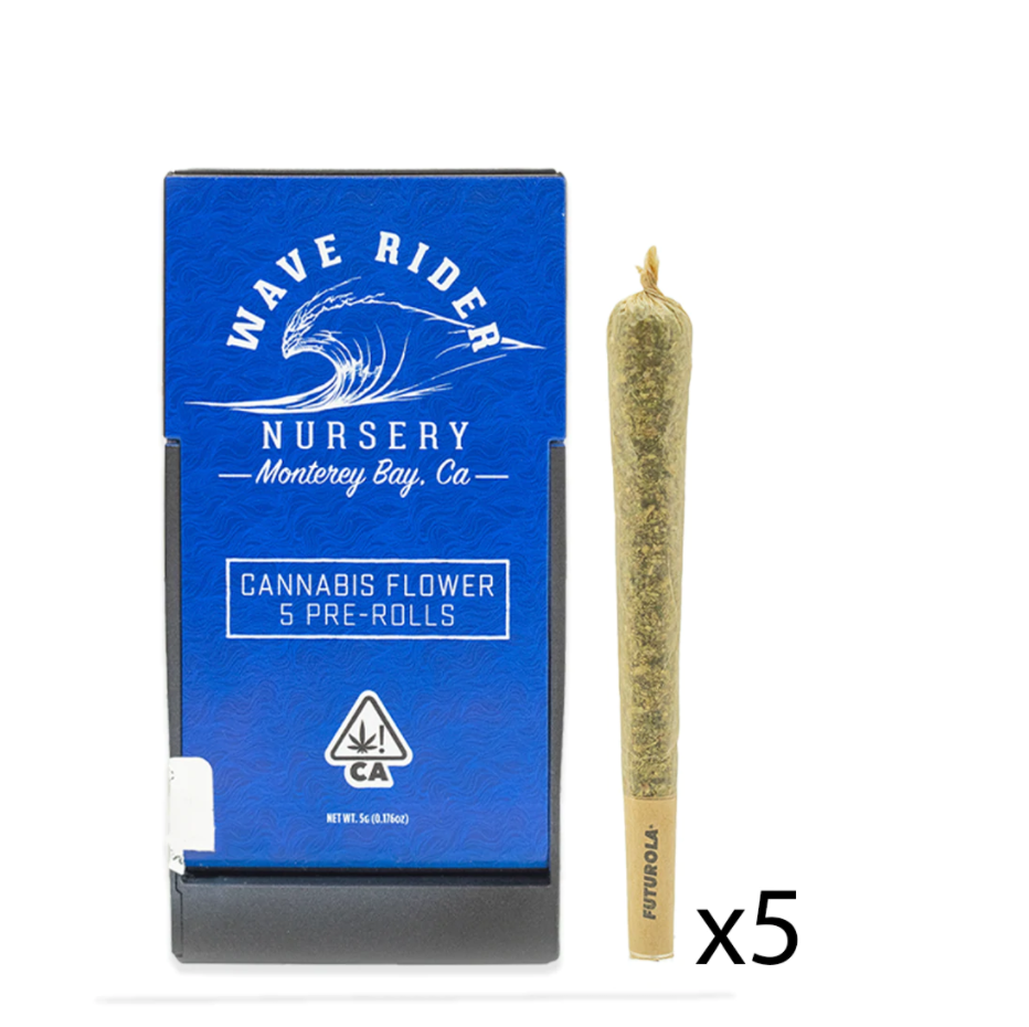 BLUEBERRY PANCAKES 5-PACK PRE-ROLLS