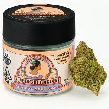 Apricot Moon Cake - 3.5g