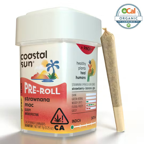 Coastal Sun — White Runtz