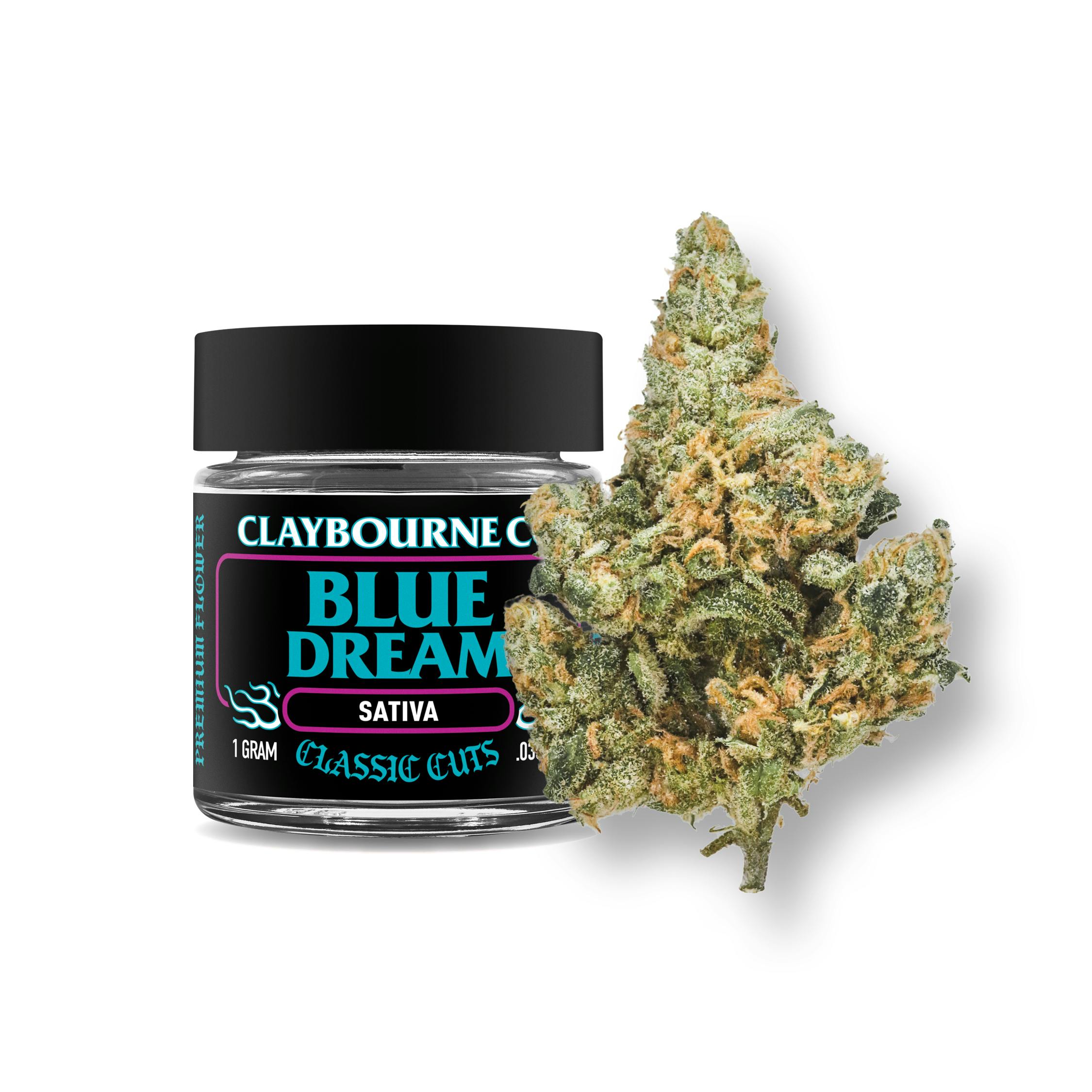 CLAYBOURNE BLUE DREAM 1G